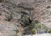  Сары Коба.webp