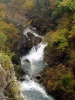  каньон 1.webp