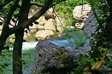  каньон 2.webp