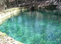 пруд 2.webp