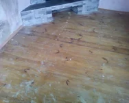 ?¤???-??-0041.webp