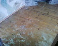 ?¤???-??-0042.webp