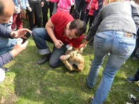 DSCN2827.webp