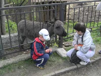 DSCN2870.webp