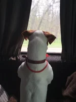 846ymD3QPk8.webp