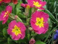 101.webp