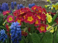 104.webp