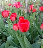L-nytIHla1U.webp