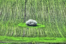 DSCF2156_11.webp