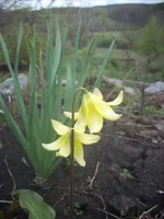 DSCN1216.webp