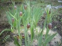 DSCN1221.webp