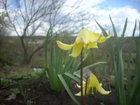 DSCN1214.webp