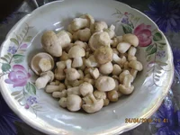  204.webp