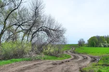 DSCF2184.webp
