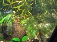 20150808_113042.webp