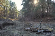 DSCF0138.webp