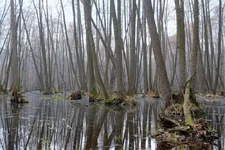 DSCF0933.webp