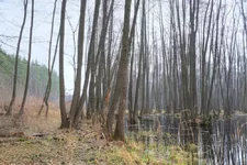 DSCF0941.webp