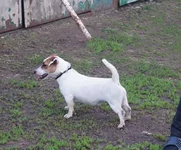 DSC03589.webp