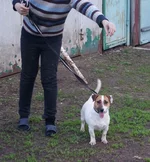 DSC03592.webp