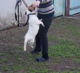 DSC03593.webp