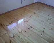 ?¤???-??-0065.webp