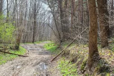 DSCF1748.webp