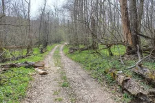 DSCF1859.webp