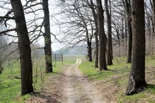 DSCF1865.webp