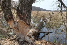 DSCF1670.webp