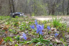 DSCF1806.webp