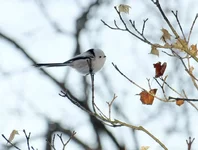 DSCF5718_0.webp