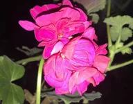 IMG_6627.webp