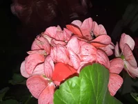 IMG_6630.webp