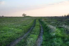 DSCF2080.webp