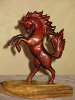 horse_640x480.webp