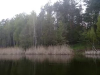 IMG_20160430_173249.webp