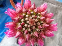 012 (2).webp