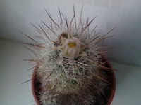 069 (2).webp