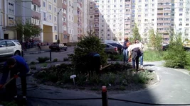 IMG_20160503_134415.webp