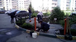 IMG_20160503_142337.webp