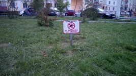 IMG_20160503_163334.webp