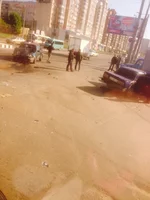 xMeOH8aJr2E.webp