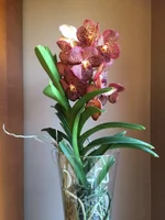image.webp