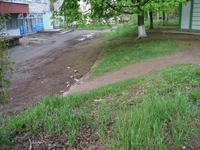 IMG_2373.webp