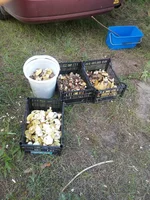 20160505_173220.jpg
