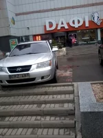 dafi.webp