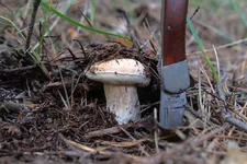 DSCF2651.jpg