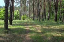 DSCF2663.webp