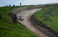 D80_4444+.webp